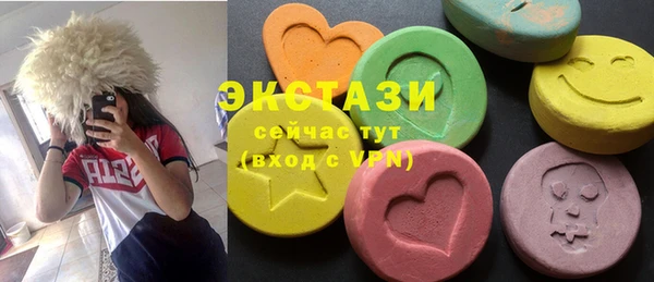дживик Богородицк