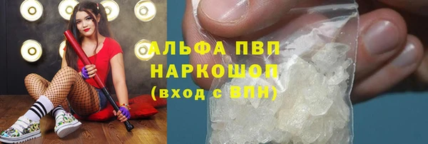 дживик Богородицк
