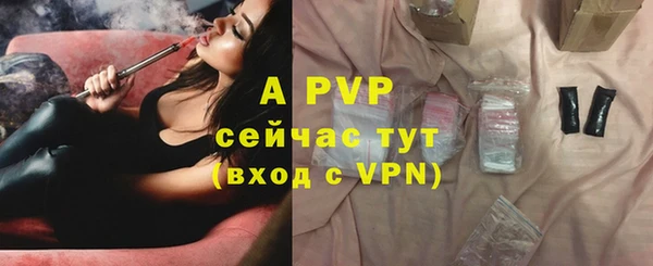 дживик Богородицк