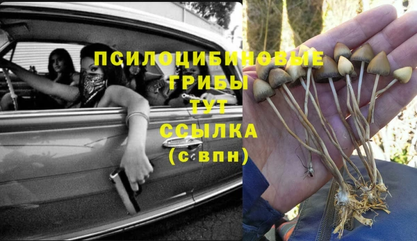 дурь Богородск