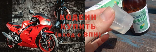 дживик Богородицк