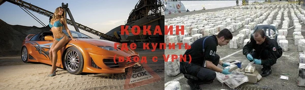 дживик Богородицк