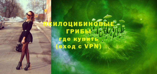 дживик Богородицк