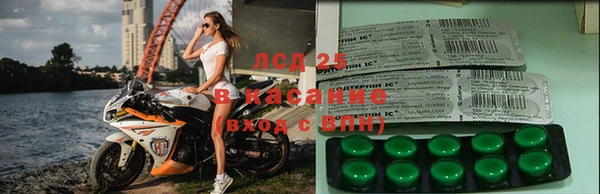 дживик Богородицк