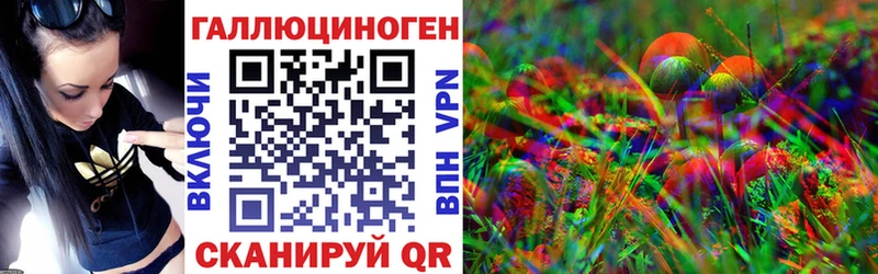 даркнет сайт  kraken сайт  Галлюциногенные грибы Cubensis  darknet какой сайт  Гай 